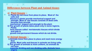 Differences between Plant and Animal tissues
a) Plant tissues :-
i) Plants do not move from place to place. Most of the
cells and
tissues in plants provide mechanical support and
strength. Most of the tissues consists of dead cells
because they provide
mechanical support and strength to the plant.
ii) The growth of plants takes place only in some regions.
Plants
have tissues called meristematic tissues which divide
and help in
growth and permanent tissues which do not divide.
b) Animal tissues :-
i) Animals move from place to place and need more energy
than
plants. Most cells and tissues in animals are living cells.
ii) The growth of animals is more uniform, so animals do
not have
separate dividing and non dividing cells. Animals have
organs
 