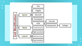 GenBio1W2L1 Cell Types and Cell Modification.pptx