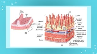 GenBio1W2L1 Cell Types and Cell Modification.pptx