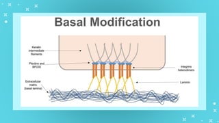 GenBio1W2L1 Cell Types and Cell Modification.pptx