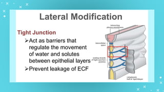 GenBio1W2L1 Cell Types and Cell Modification.pptx