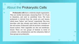 About the Prokaryotic Cells
 