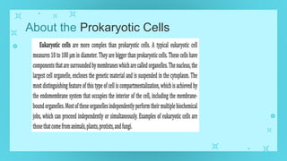 About the Prokaryotic Cells
 