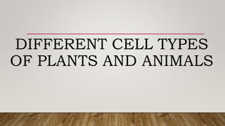 DIFFERENT CELL TYPES
OF PLANTS AND ANIMALS
 
