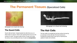 Gen_Bio_2_Lesson_01_Week_01_Plants_Forms_&_Functions.pdf