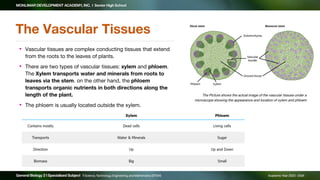 Gen_Bio_2_Lesson_01_Week_01_Plants_Forms_&_Functions.pdf