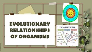 SLIDESMANIA.COM
EVOLUTIONARY
RELATIONSHIPS
OF ORGANISMS
 