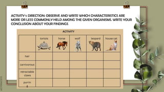 SLIDESMANIA.COM
ACTIVITY 1: DIRECTION: OBSERVE AND WRITE WHICH CHARACTERISTICS ARE
MORE OR LESS COMMONLY HELD AMONG THE GIVEN ORGANISMS. WRITE YOUR
CONCLUSION ABOUT YOUR FINDINGS.
 