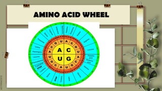 SLIDESMANIA.COM
AMINO ACID WHEEL
 