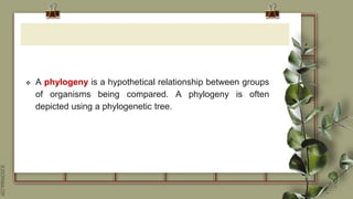 SLIDESMANIA.COM
 A phylogeny is a hypothetical relationship between groups
of organisms being compared. A phylogeny is often
depicted using a phylogenetic tree.
 