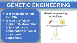 GENERAL BIOLOGY II GENETIC ENGINEERING.. | PPTX