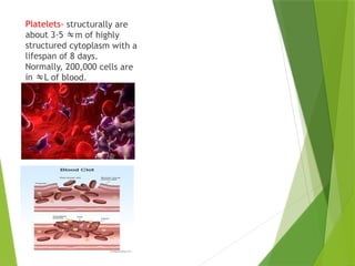 Platelets- structurally are
about 3-5 m of highly
structured cytoplasm with a
lifespan of 8 days.
Normally, 200,000 cells are
in L of blood.
 
