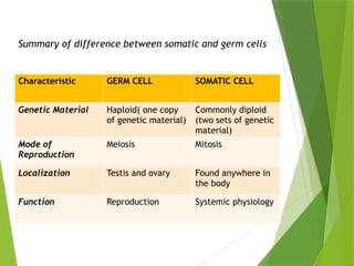 Summary of difference between somatic and germ cells
Characteristic GERM CELL SOMATIC CELL
Genetic Material Haploid( one copy
of genetic material)
Commonly diploid
(two sets of genetic
material)
Mode of
Reproduction
Meiosis Mitosis
Localization Testis and ovary Found anywhere in
the body
Function Reproduction Systemic physiology
 