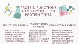 General Biology Biomolecules DNA, Protein and enzymes.pptx
