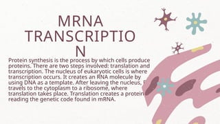 Protein Read General Biology Biomolecules DNA, Protein and enzymes.pptx