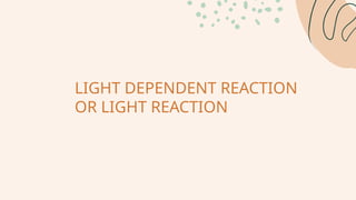 Gen bio: THE CALVIN CYCLE DARK REACTION.pptx