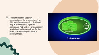 Gen bio: THE CALVIN CYCLE DARK REACTION.pptx