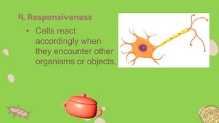 CELL THEORY.pptx