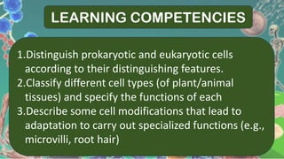 LEARNING COMPETENCIES
1.Distinguish prokaryotic and eukaryotic cells
according to their distinguishing features.
2.Classify different cell types (of plant/animal
tissues) and specify the functions of each
3.Describe some cell modifications that lead to
adaptation to carry out specialized functions (e.g.,
microvilli, root hair)
 