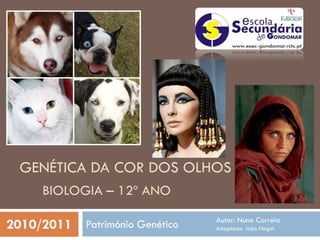 GENÉTICA DA COR DOS OLHOS
      BIOLOGIA – 12º ANO
                                Autor: Nuno Correia
2010/2011 Património Genético   Adaptado: João Nogal
 