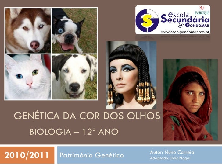 GENÉTICA DA COR DOS OLHOS      BIOLOGIA – 12º ANO                                Autor: Nuno Correia2010/2011 Património G...