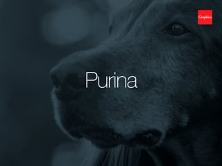 Purina
 