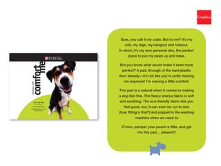 Expertise: Retail | Kids | Toys | Pets