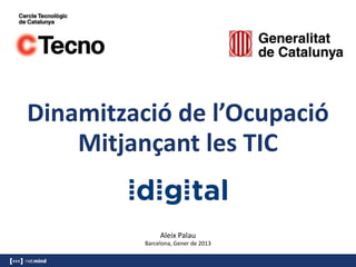 Dinamització de l’Ocupació
    Mitjançant les TIC


               Aleix Palau
          Barcelona, Gener de 2013
 
