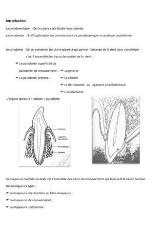 Introduction
La parodontologie : Est la science qui étudie le parodonte.
La parodontie : Est l’application des connaissance de parodontologie en pratique quotidienne.
Le parodonte : Est un complexe tissulaire organisé qui permet l’ancrage de la dent dans son alvéole.
c’est l’ensemble des tissus de soutien de la dent .
 Le parodonte superficiel ou
parodonte de recouvrement :  La gencive
 Le parodonte profond :  Le cément
 Le désmodonte ou Ligament alvéolodentaire
 L’os alvéolaire
L’organe dentaire = odonte + parodonte
La muqueuse buccale ou orale est l’ensemble des tissus de recouvrement qui tapissent la cavité buccale.
On distingue 03 types :
 La muqueuse masticatoire ou fibro-muqueuse :
 La muqueuse de recouvrement :
 La muqueuse spécialisée :
 
