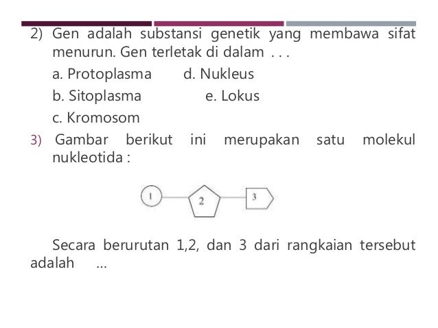 Gambar Rangkaian Molekul Nukleotida Koleksi Gambar Terbaik