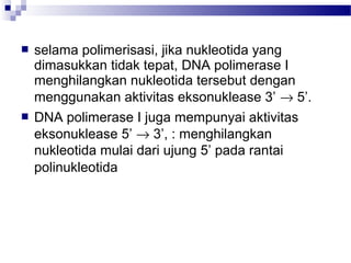  selama polimerisasi, jika nukleotida yang
dimasukkan tidak tepat, DNA polimerase I
menghilangkan nukleotida tersebut dengan
menggunakan aktivitas eksonuklease 3’ → 5’.
 DNA polimerase I juga mempunyai aktivitas
eksonuklease 5’ → 3’, : menghilangkan
nukleotida mulai dari ujung 5’ pada rantai
polinukleotida
 