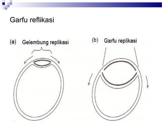 Garfu reflikasi
 