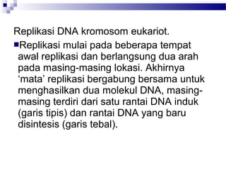 Replikasi DNA kromosom eukariot.
Replikasi mulai pada beberapa tempat
awal replikasi dan berlangsung dua arah
pada masing-masing lokasi. Akhirnya
‘mata’ replikasi bergabung bersama untuk
menghasilkan dua molekul DNA, masing-
masing terdiri dari satu rantai DNA induk
(garis tipis) dan rantai DNA yang baru
disintesis (garis tebal).
 