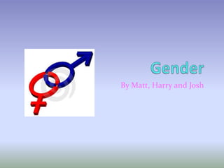 Gender By Matt, Harry and Josh 