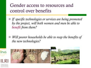 Analysis of priority commodities — Gender and technology perspectives