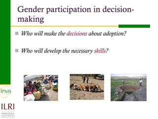 Analysis of priority commodities — Gender and technology perspectives