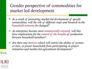 Analysis of priority commodities — Gender and technology perspectives