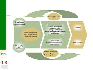 Analysis of priority commodities — Gender and technology perspectives