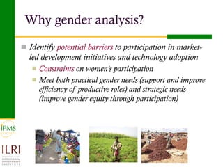 Analysis of priority commodities — Gender and technology perspectives