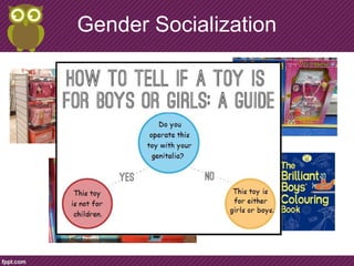 Gender Socialization
 