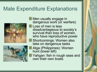 Male Expenditure Explanations Men usually engage in dangerous work (or warfare) Loss of men is less disadvantageous to society’s survival than loss of women, who have reproductive power Shortcomings: Women also take on dangerous tasks Atga (Philippines): Women hunt (lower left) Yahgan: fish in rough seas and own their own boats 