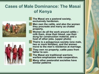 Cases of Male Dominance: The Masai of Kenya The Masai are a pastoral society, exclusively herdsmen. Men own the cattle, and also the women they procreate and marry as chattel property. Women do all the work around cattle—milk them, draw their blood, use their dung for construction material, and a host of other jobs. (upper photo) Theirs is a polygynous society (one male, two or more females), and the women move to the men’s residence at marriage. They own no property; cattle pass from father to son. The Masai are traditional warriors; warfare emphasizes male cooperation. Many other pastoralist societies have similar patterns  