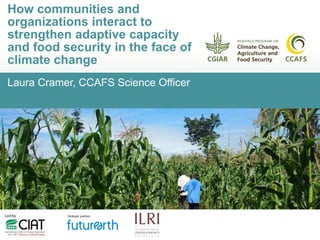 Laura Cramer, CCAFS Science Officer
How communities and
organizations interact to
strengthen adaptive capacity
and food security in the face of
climate change
 