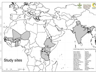How communities and organizations interact to strengthen adaptive capacity and food security in the face of climate change