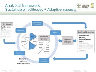 How communities and organizations interact to strengthen adaptive capacity and food security in the face of climate change