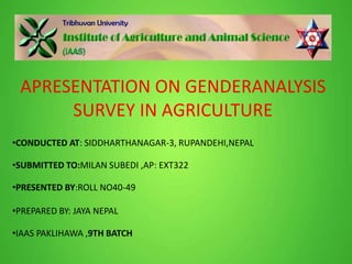 APRESENTATION ON GENDERANALYSIS
SURVEY IN AGRICULTURE
•CONDUCTED AT: SIDDHARTHANAGAR-3, RUPANDEHI,NEPAL
•SUBMITTED TO:MILAN SUBEDI ,AP: EXT322
•PRESENTED BY:ROLL NO40-49
•PREPARED BY: JAYA NEPAL
•IAAS PAKLIHAWA ,9TH BATCH
 