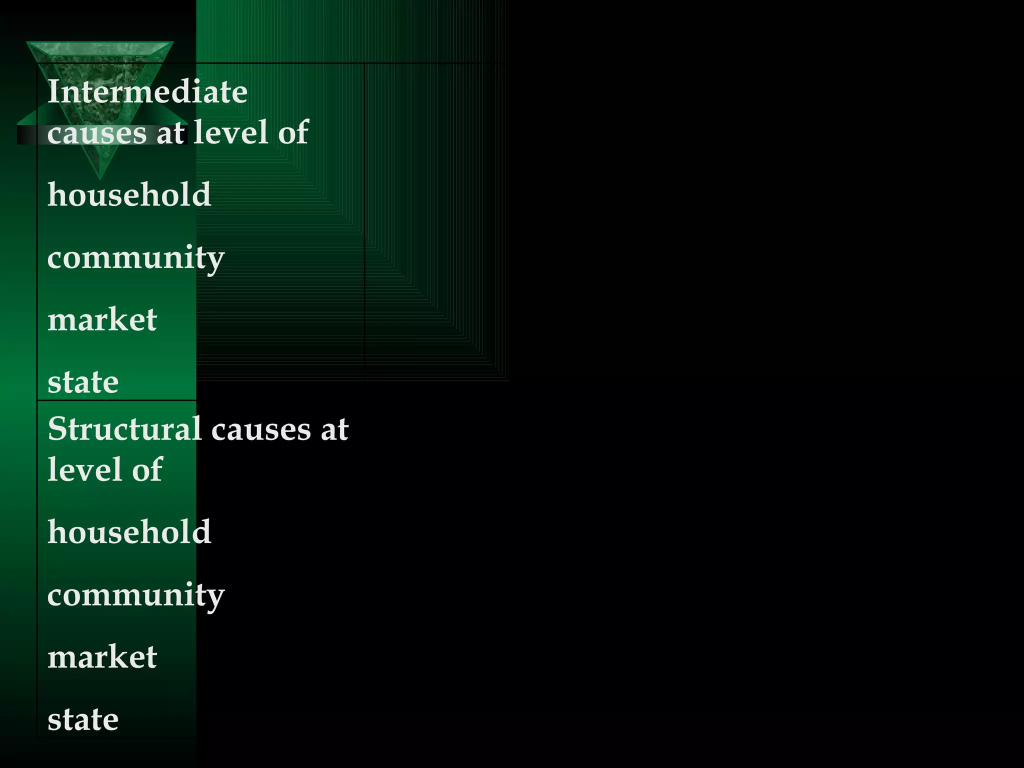   Structural causes at level of  household  community  market  state    Intermediate causes at level of  household  community  market  state  