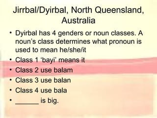 Jirrbal/Dyirbal, North Queensland, Australia Dyirbal has 4 genders or noun classes. A noun’s class determines what pronoun is used to mean he/she/it Class 1 ‘bayi’ means it Class 2 use balam Class 3 use balan Class 4 use bala ______ is big. 