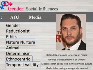 : AO3 Media
Social Influences
Gender
Reductionist
Ethics
Nature Nurture
Animal
Determinism
Ethnocentric
Temporal Validity
Difficult to measure influence of media
Ignores biological factors of Gender
Most research conducted in Westernized culture
Media is becoming more gender-neutral
 