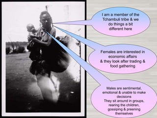 I am a member of the
Tchambuli tribe & we
do things a bit
different here
Females are interested in
economic affairs
& they look after trading &
food gathering
Males are sentimental,
emotional & unable to make
decisions
They sit around in groups,
rearing the children,
gossiping & preening
themselves
 